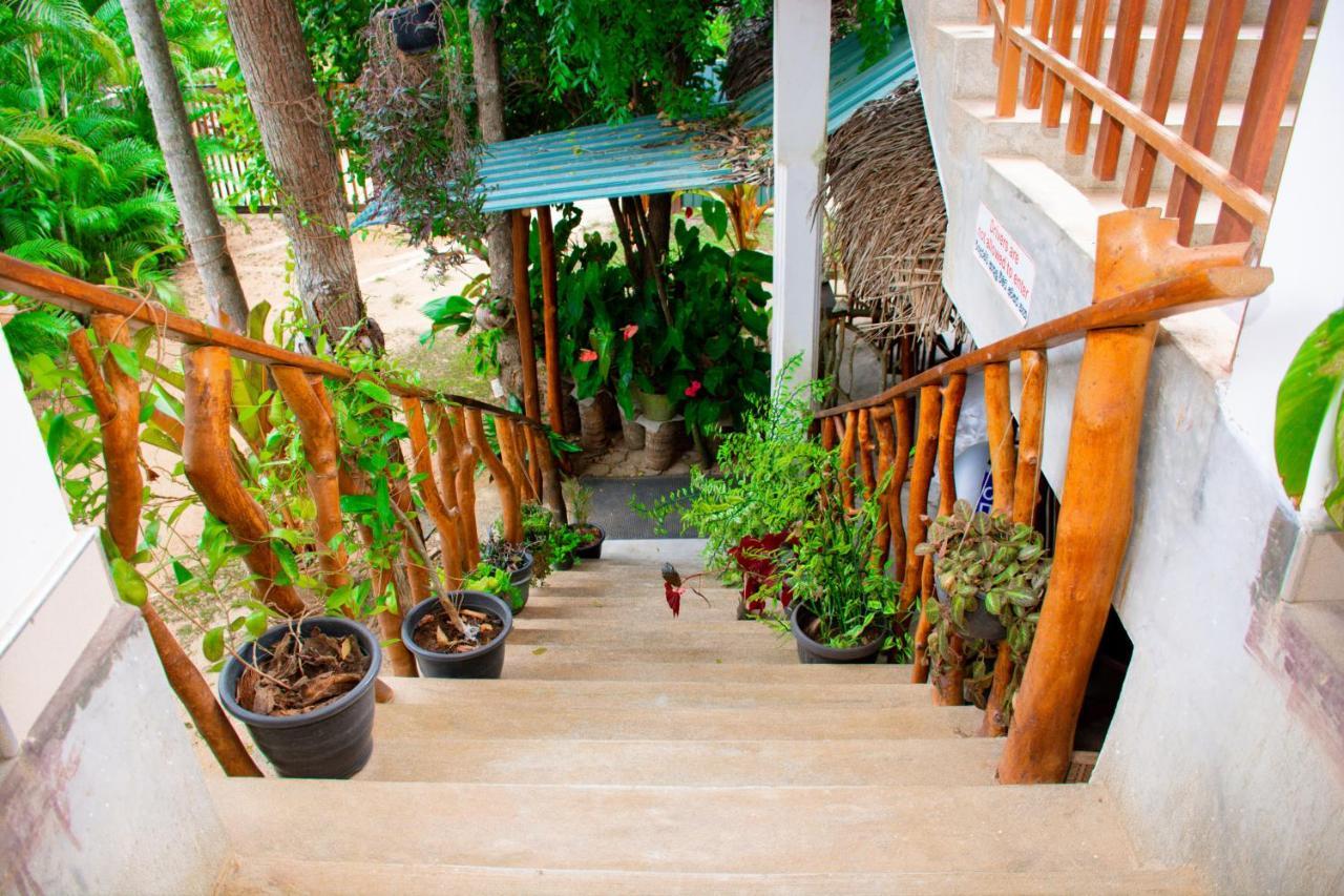 Turtle Paradise แทนกาลเล ภายนอก รูปภาพ