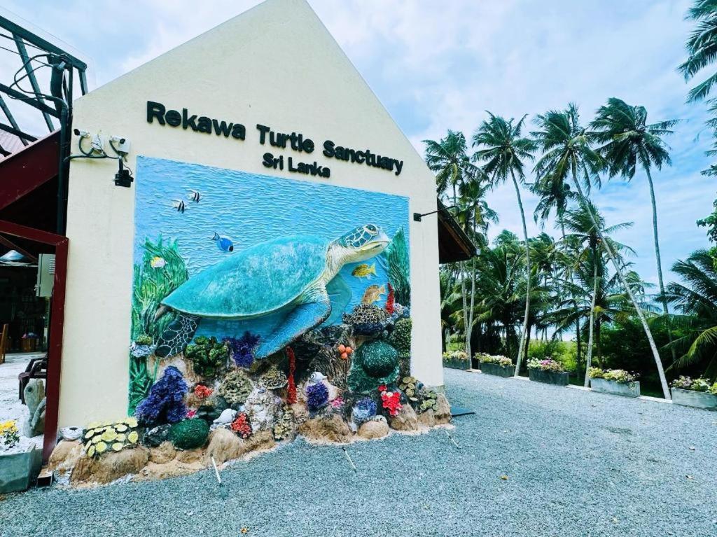 Turtle Paradise แทนกาลเล ภายนอก รูปภาพ